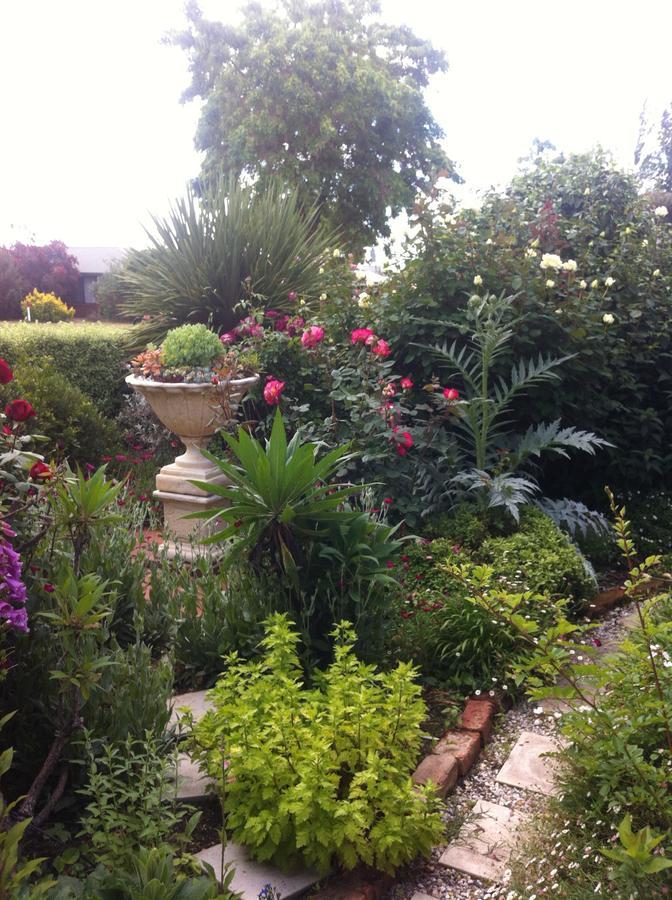 Admurraya House Bed & Breakfast Rutherglen Exterior foto